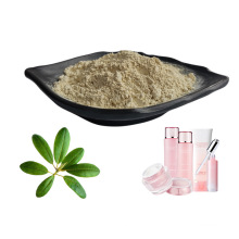 Cosmetic Ingredient Ursolic Acid Natural Plant Extract